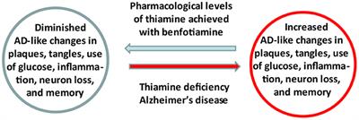 Pharmacological thiamine levels as a therapeutic approach in Alzheimer's disease